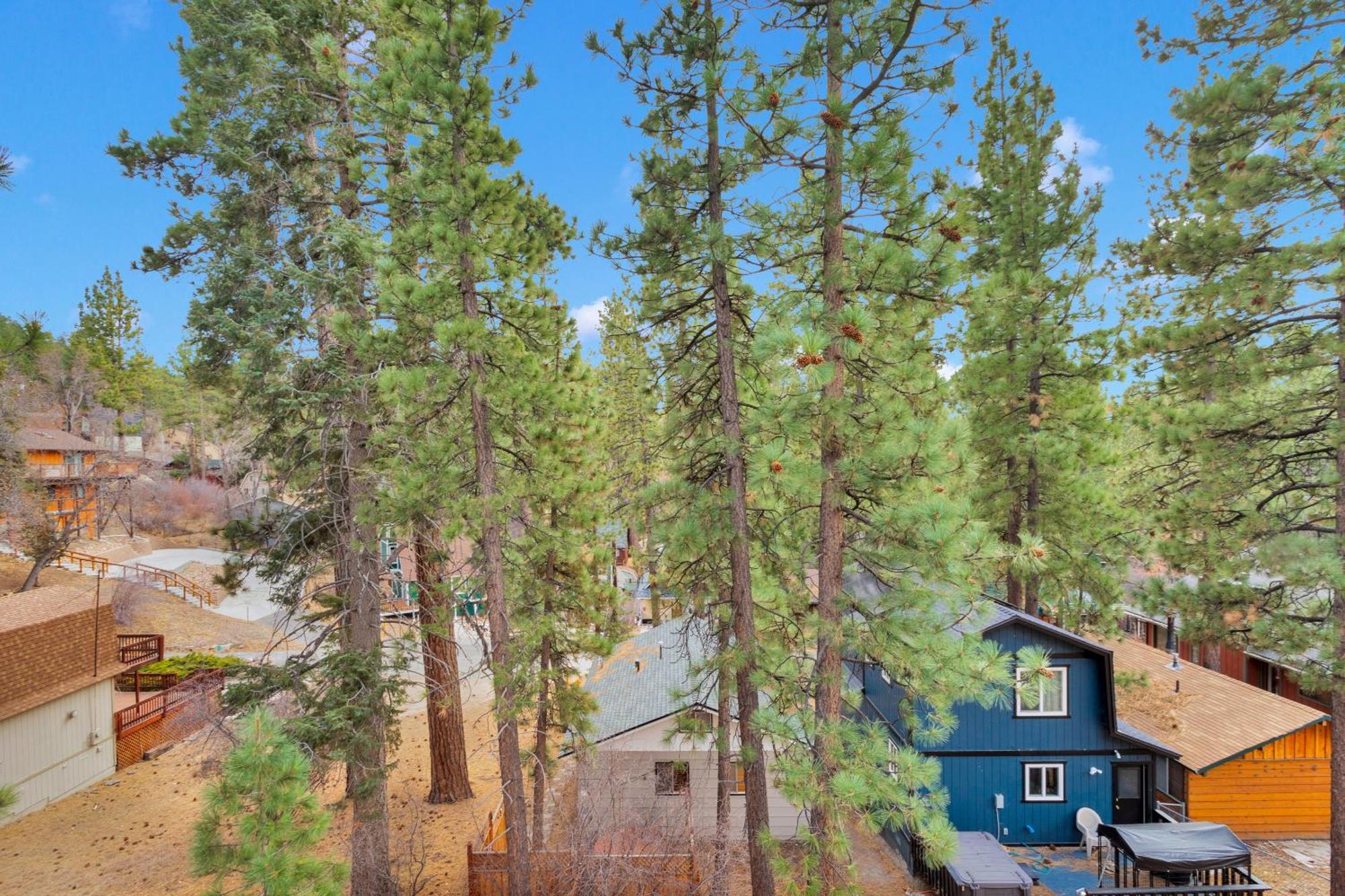 ביג בר לייק Cozy Crescent Tree Cabin Near Bear Mountain מראה חיצוני תמונה